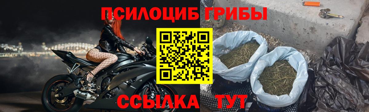 Псилоцибиновые грибы GOLDEN TEACHER  Вход с VPN  Обь 
