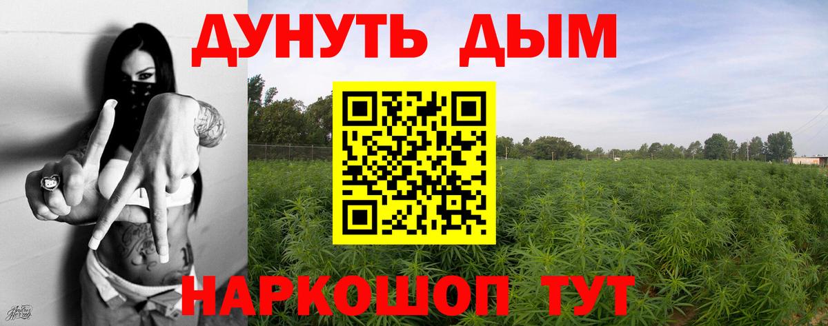 Шишки марихуана Bruce Banner  МАРИХУАНА планчик  Конопля MAZAR  Обь  Конопля VHQ  Вход с VPN 